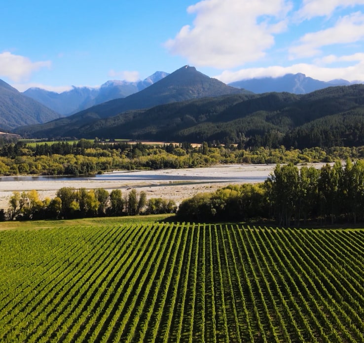 Videography drone shot of wine orchard in new Zealand